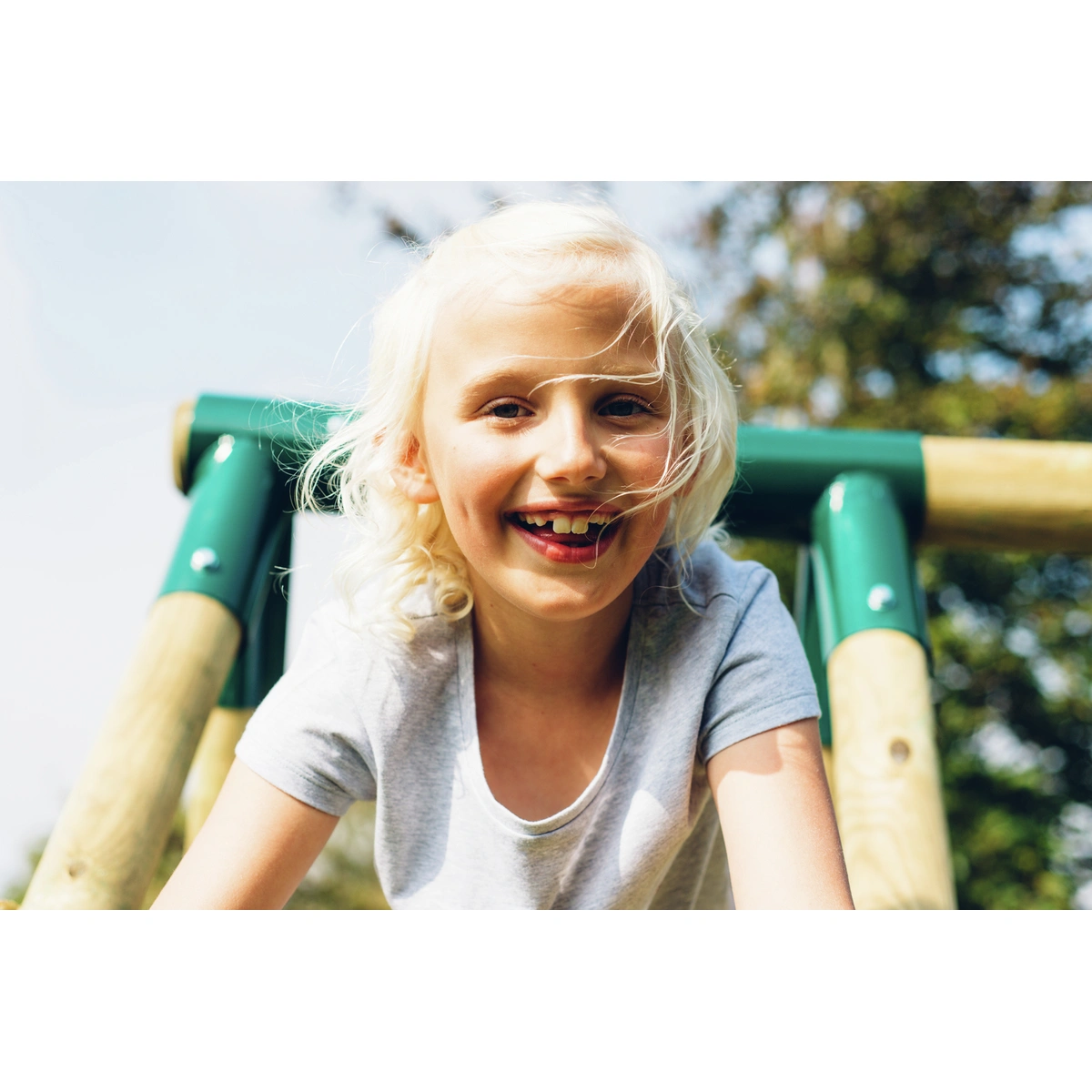 Plum Giant Baboon Wooden Swing Set