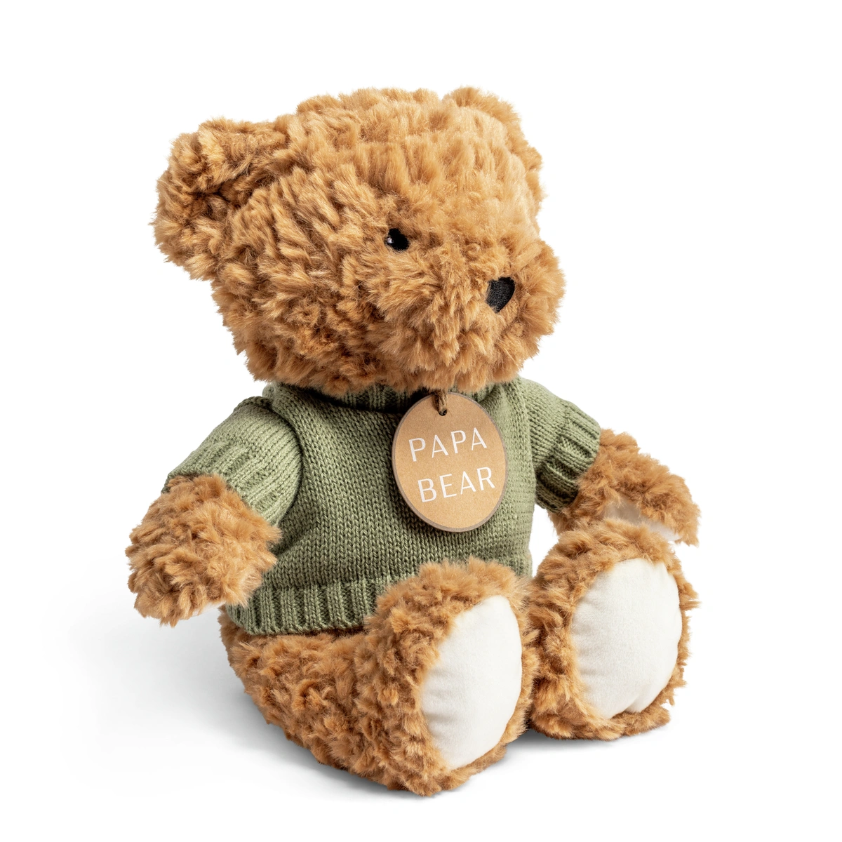 Argos Home 25cm Papa Bear Soft Toy