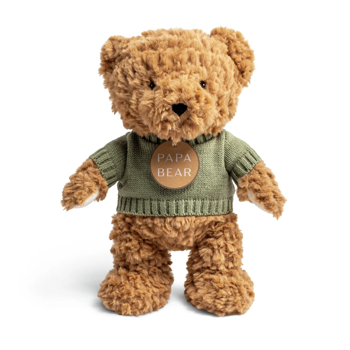 Argos Home 25cm Papa Bear Soft Toy