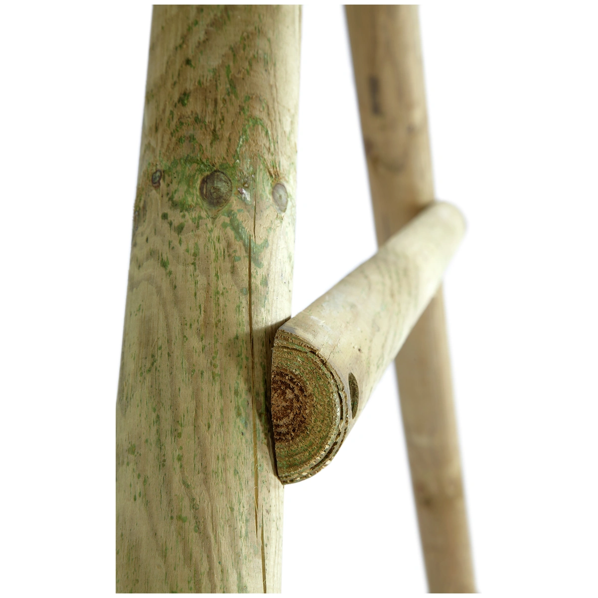 Plum Gibbon Wooden Garden Swing Set.
