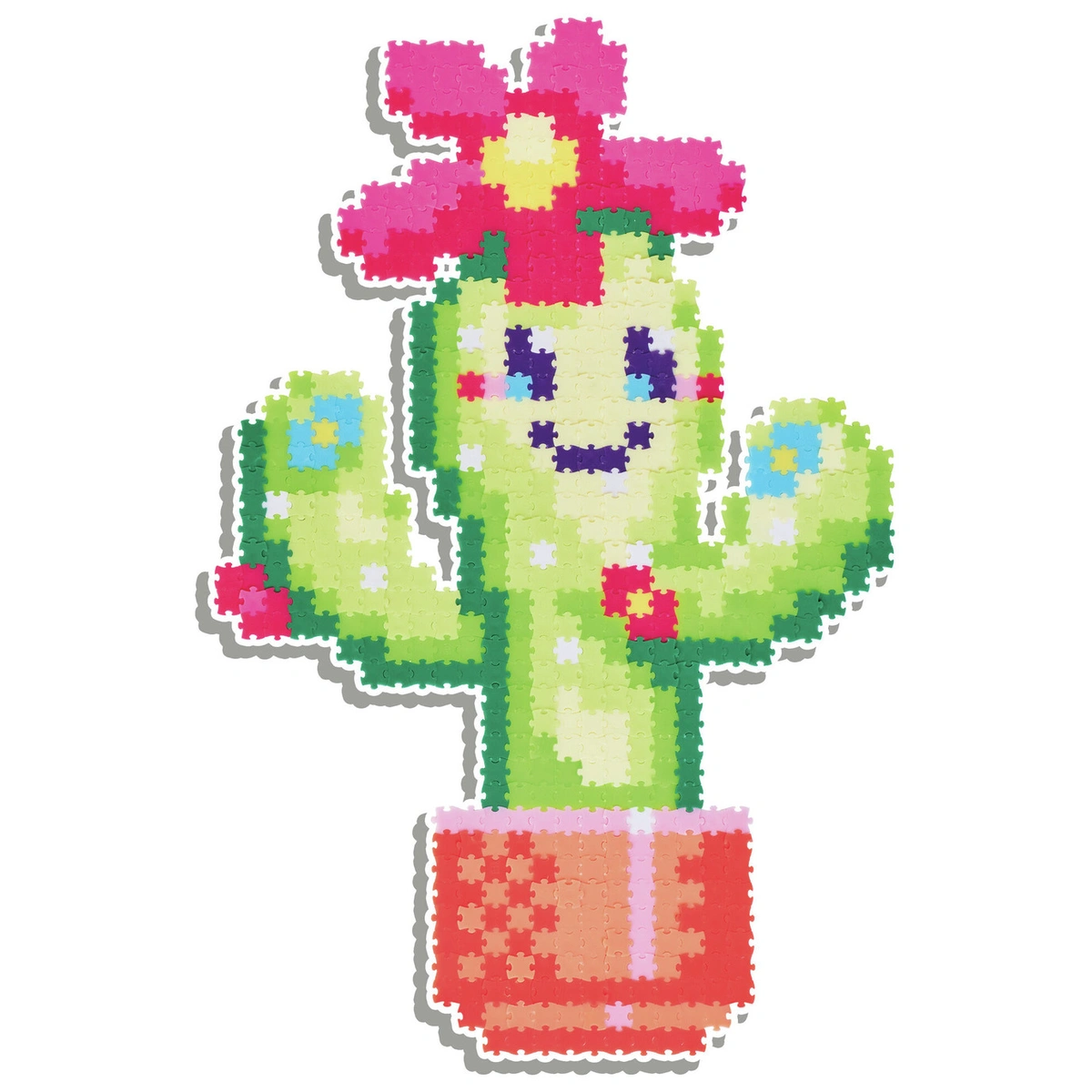 Jixelz Smiley Succulents 750 Pieces Set