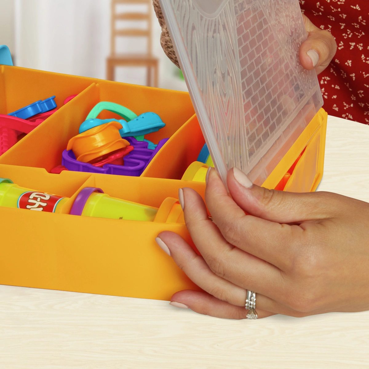 Play Doh Rainbow Animal Tools and Storage