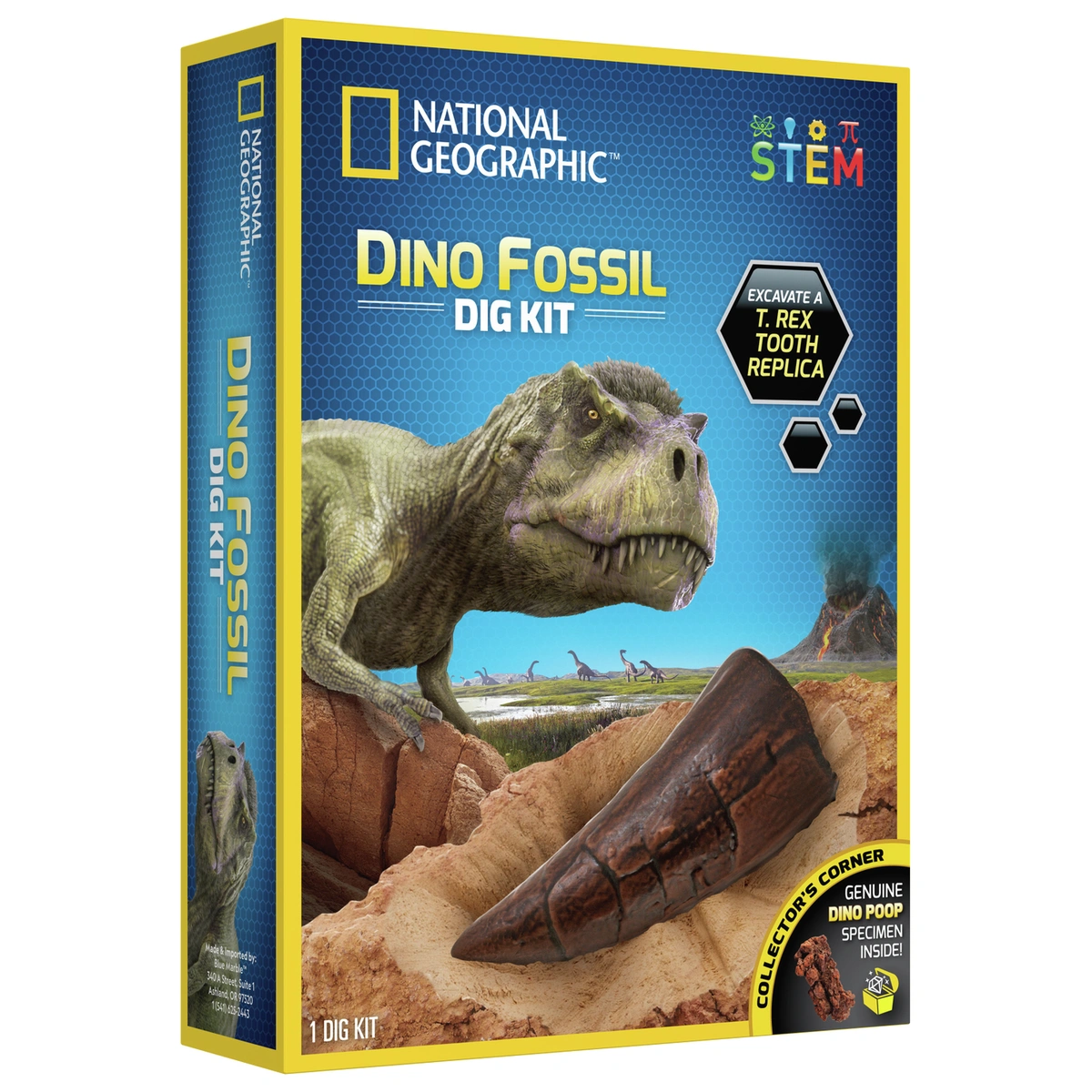 STEM National Geographic Dino Fossil Dig Kit
