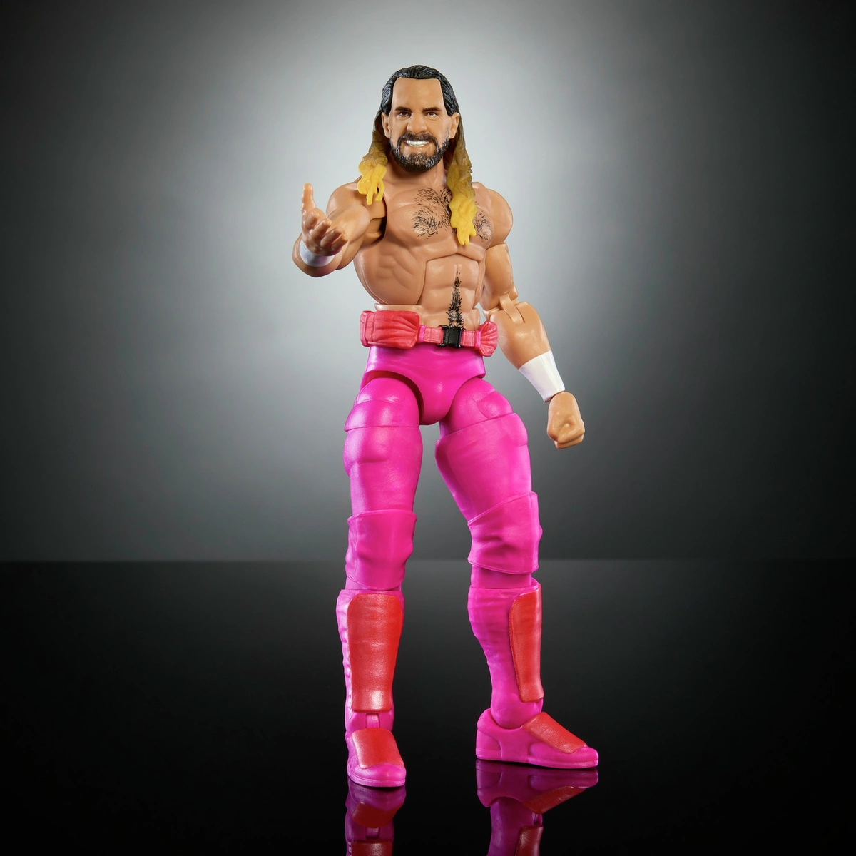 WWE Elite Premium Live Event Seth Rollins Action  Figure Set