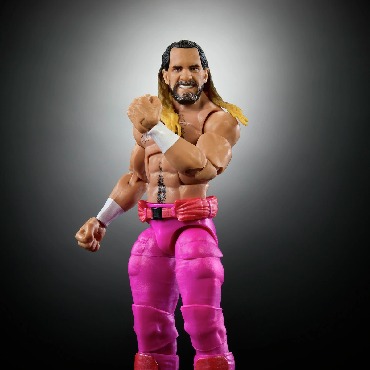 WWE Elite Premium Live Event Seth Rollins Action  Figure Set