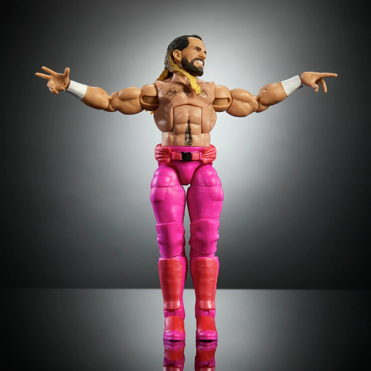 WWE Elite Premium Live Event Seth Rollins Action  Figure Set