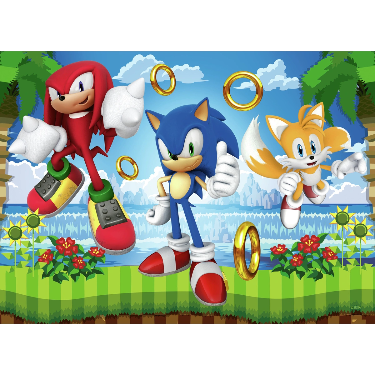 Ravensburger Sonic the Hedgehog 4x100 Pieces Puzzle
